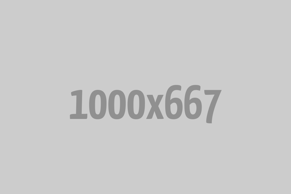 Harmonia Inter Naturam et Technologiam